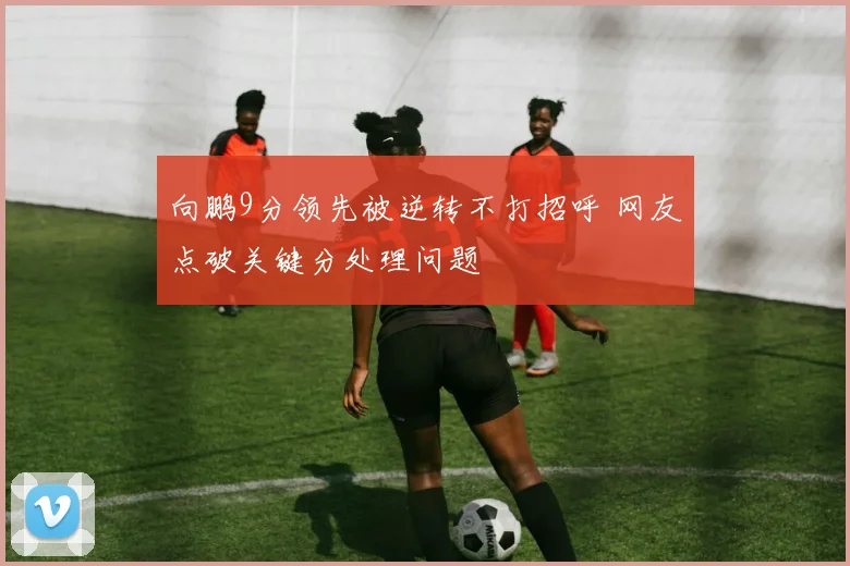 向鹏9分领先被逆转不打招呼 网友点破关键分处理问题