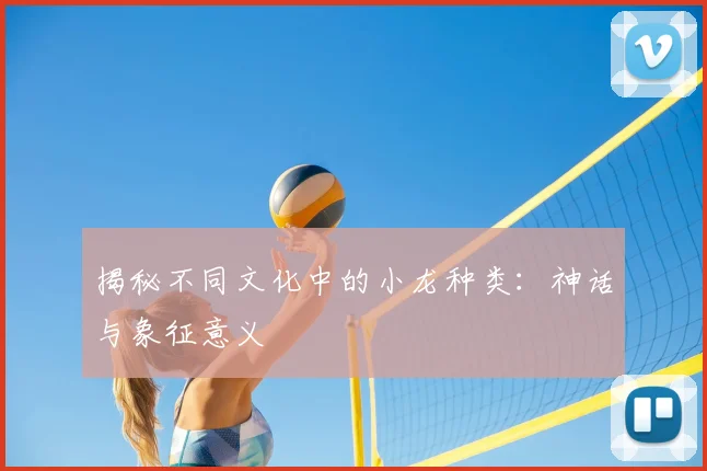 揭秘不同文化中的小龙种类:神话与象征意义