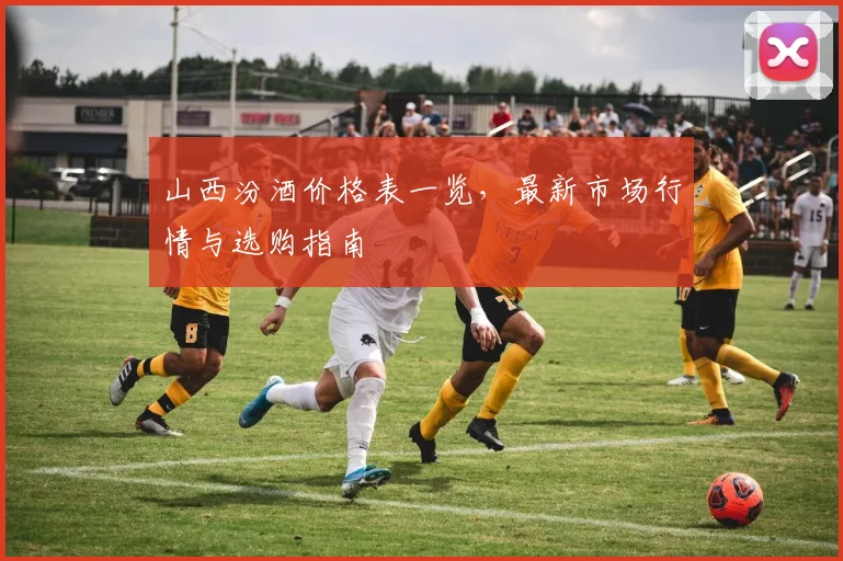 山西汾酒价格表一览,最新市场行情与选购指南